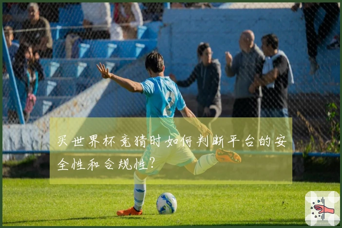 买世界杯竞猜时如何判断平台的安全性和合规性？