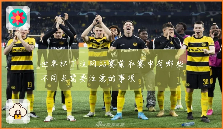 世界杯下注网站赛前和赛中有哪些不同点需要注意的事项