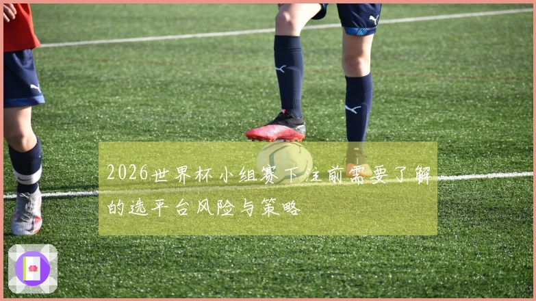 2026世界杯小组赛下注前需要了解的选平台风险与策略