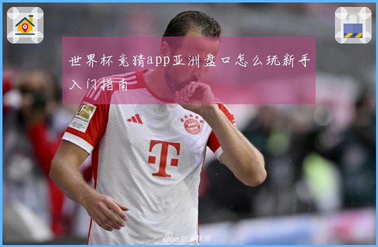 世界杯竞猜app亚洲盘口怎么玩新手入门指南