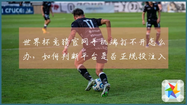 世界杯竞猜官网手机端打不开怎么办，如何判断平台是否正规投注入口